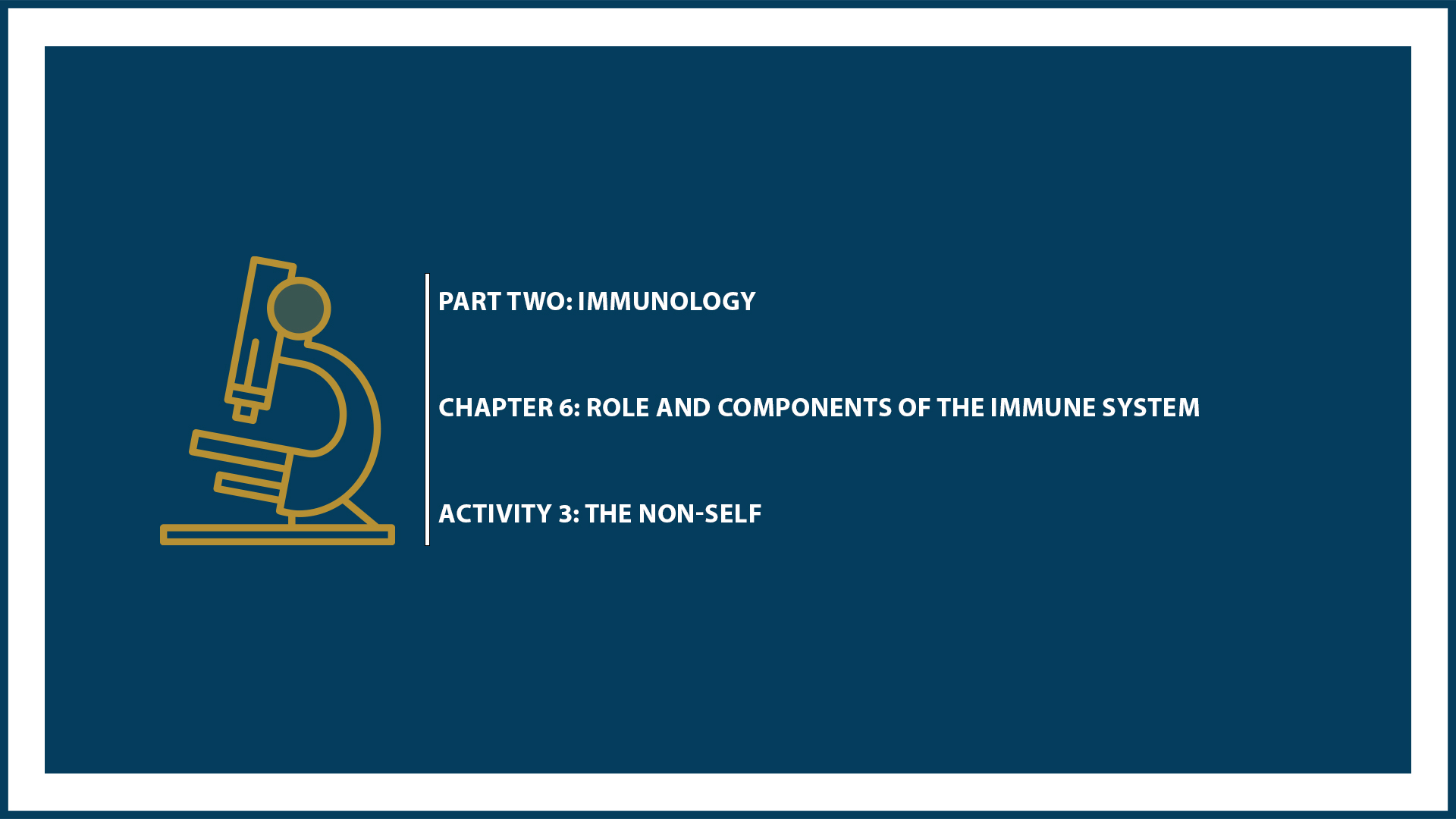Unit Two: Chapter 6 - Document 3: The non-self